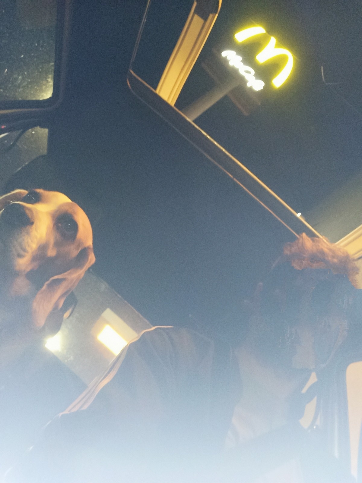 0b190879-1f1b-47e7-b6dd-6c550ed4f1f2