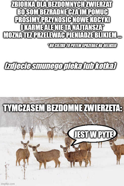 9d579f68-0f5b-43b9-ae4a-1376522ee8d4