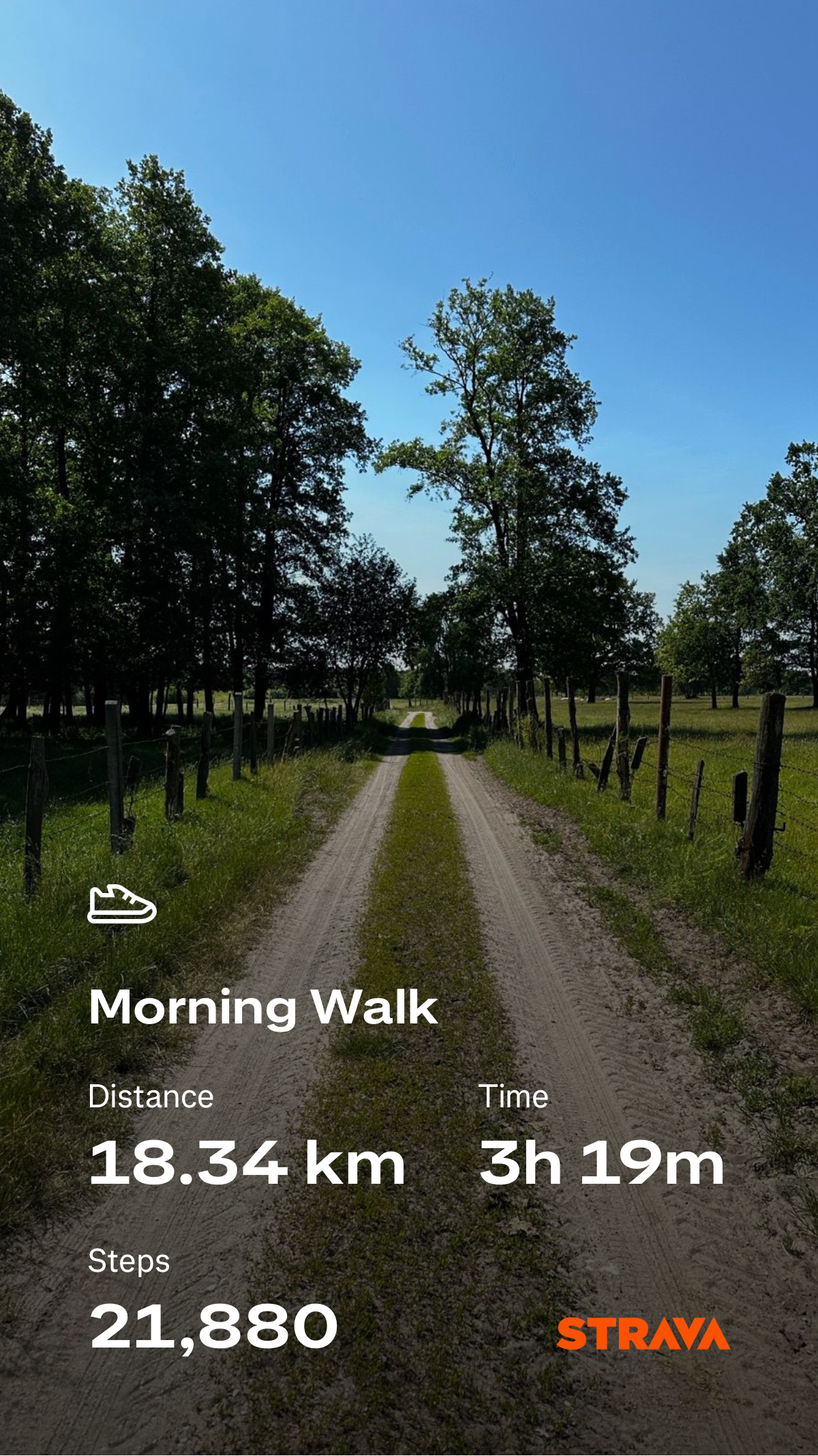 c81a0380-8dec-43ad-bfb7-b4f5635d023d