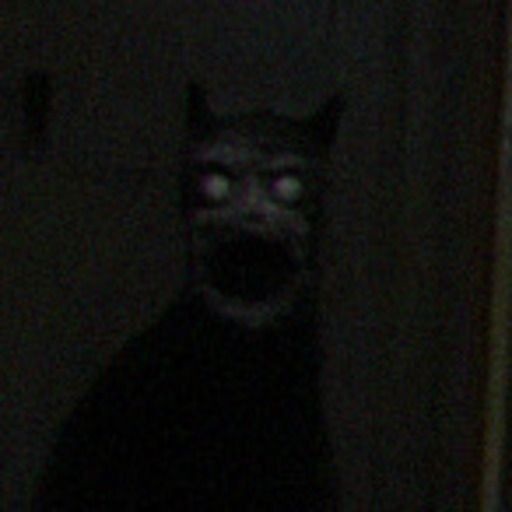 6ca456c5-672a-4299-8457-cb4e42307e34