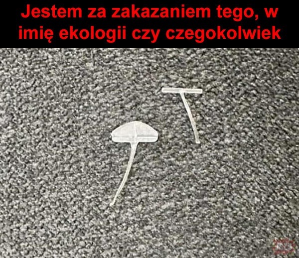 9b91f910-b09a-4f70-957a-e5eda0769b87