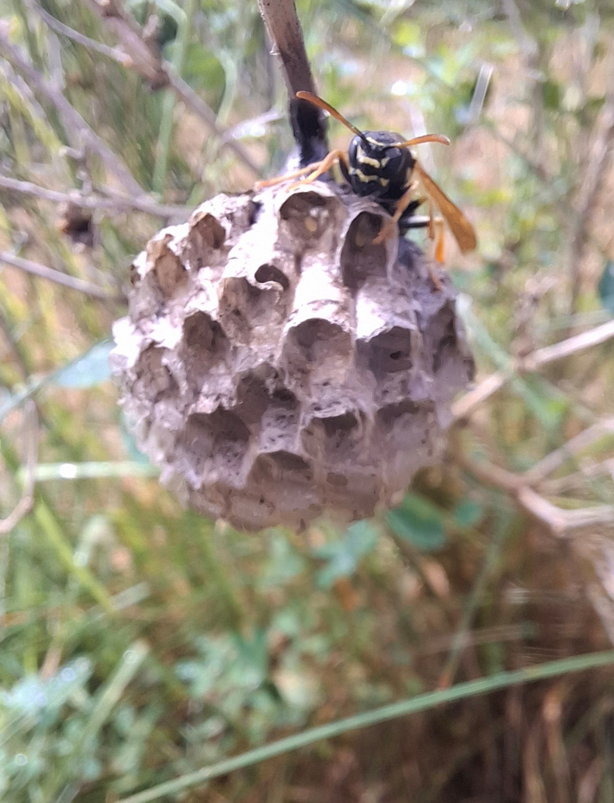 578a1976-493f-42f0-80f4-d3a9548ae736