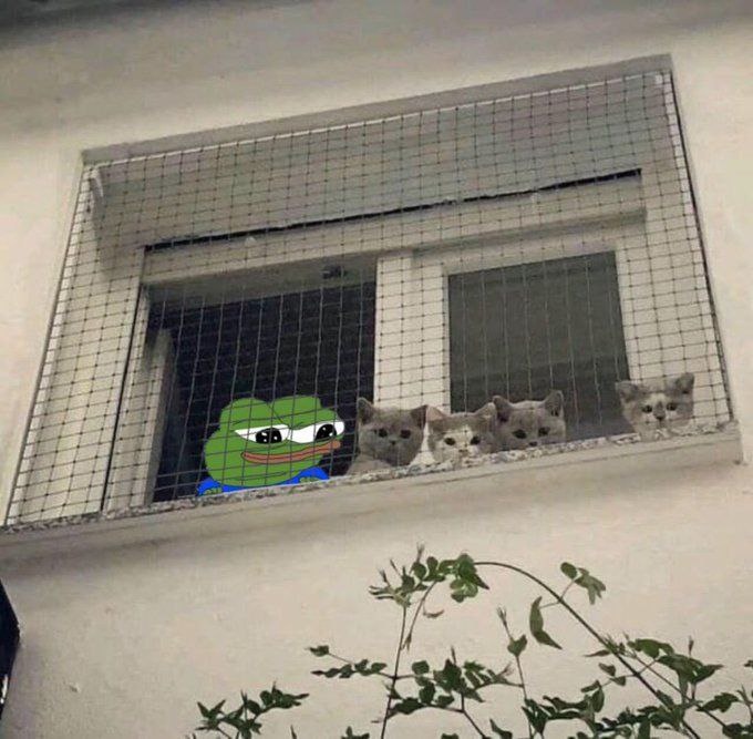 775b4557-07b0-422e-87e5-7a2f5a10404f