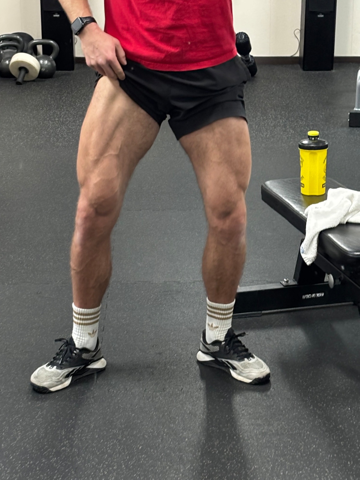 0311f86a-f9ab-4bd9-ae58-faa8060c8d02