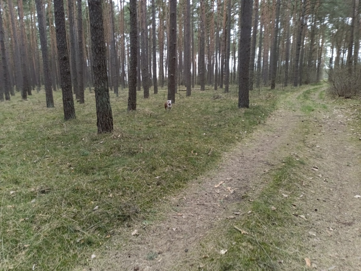 f91f9dc2-720f-4335-92a4-1d979da57d4c