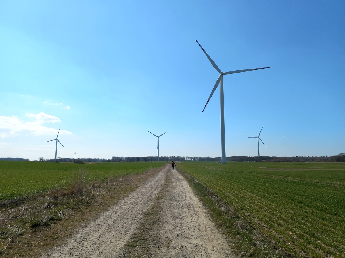 91034ee9-364b-417d-be15-9412534e191b