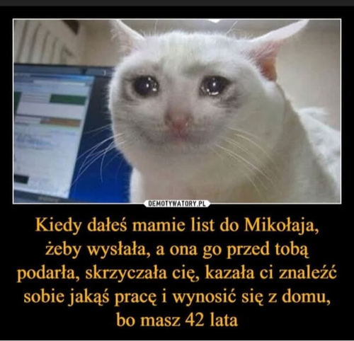 1b308ff6-b500-468e-98f3-08c8e9170c56