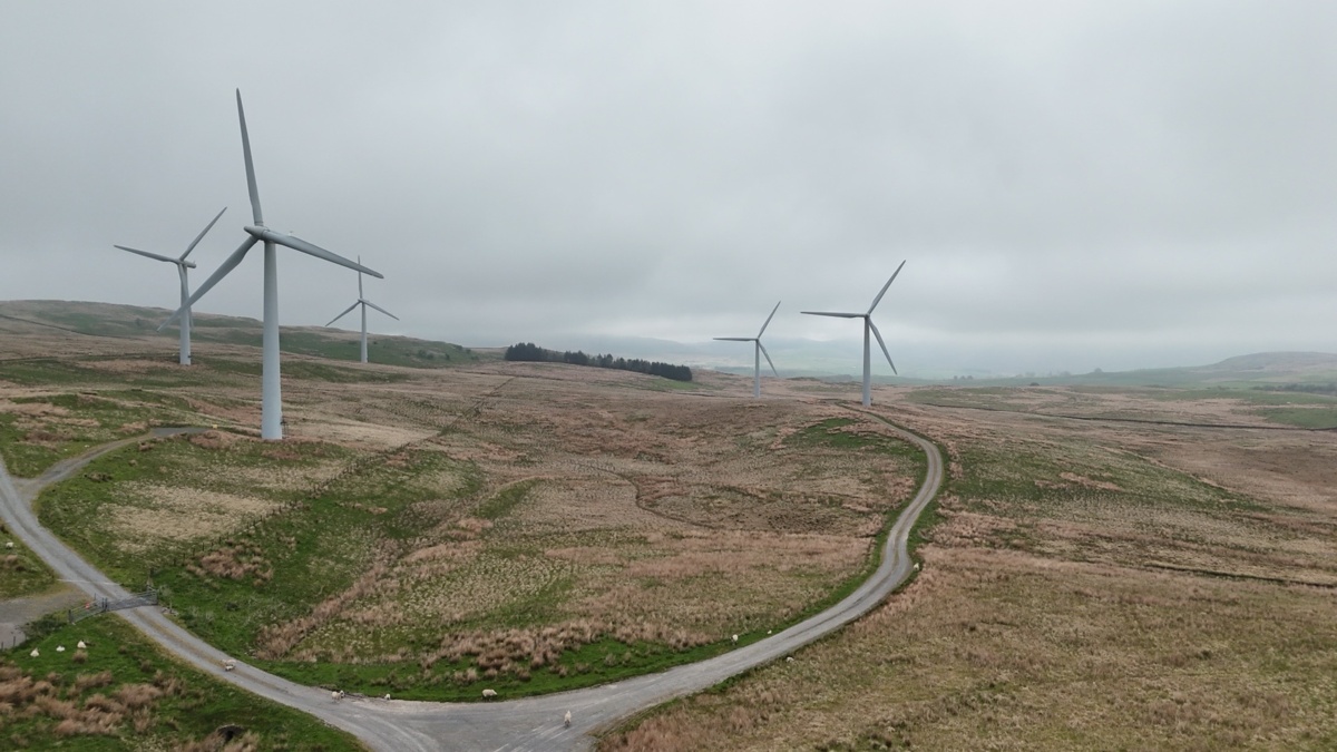 70e421dc-0668-4eb0-98e0-fa6c303fab12