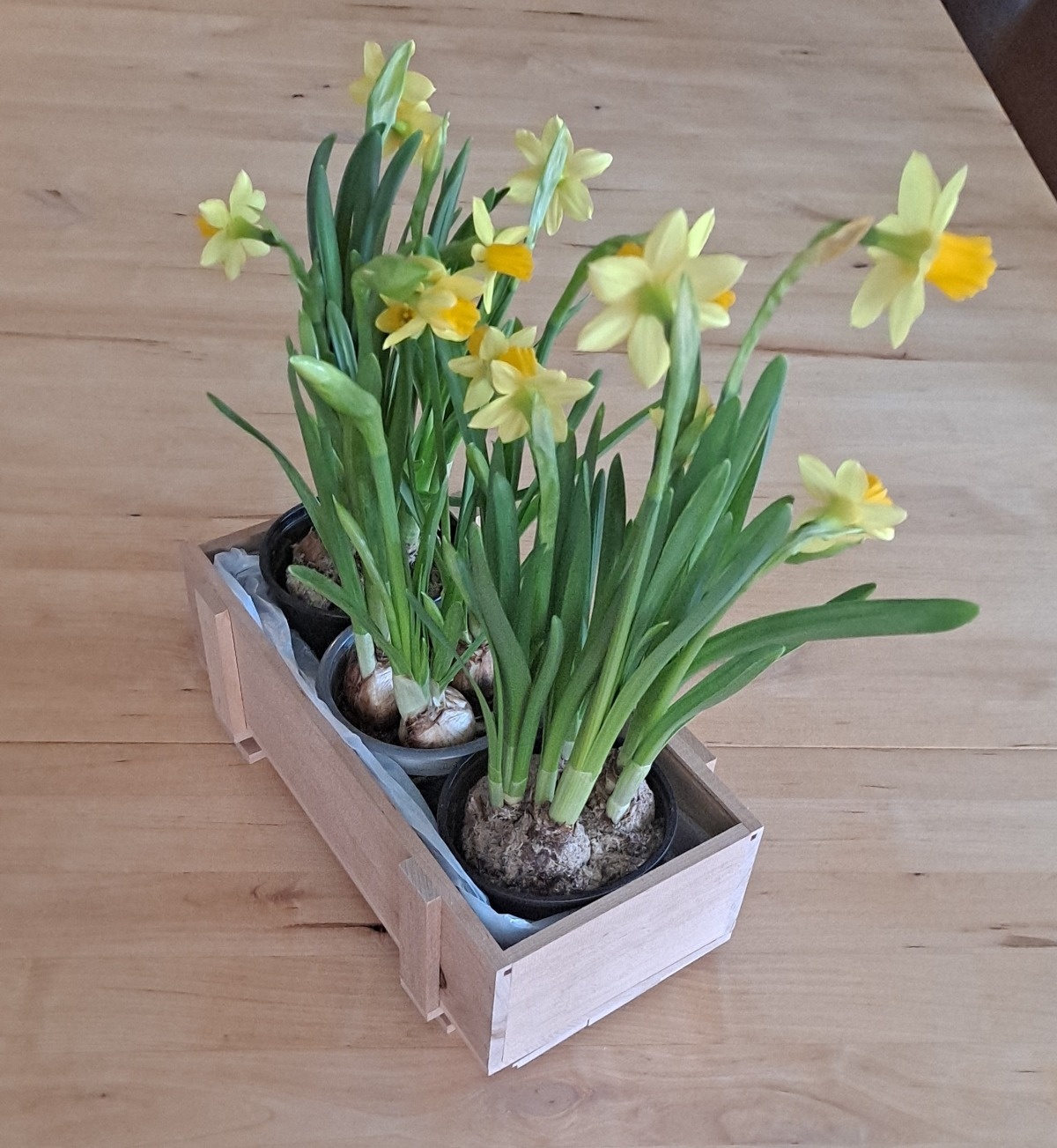 28db0173-efff-4397-b1ca-9951c801623d