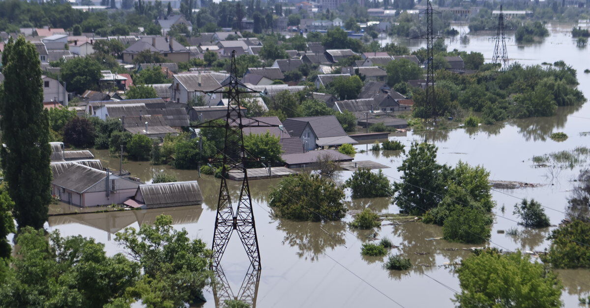 Ekobójstwo w Ukrainie. Greenpeace i WWF milczą.