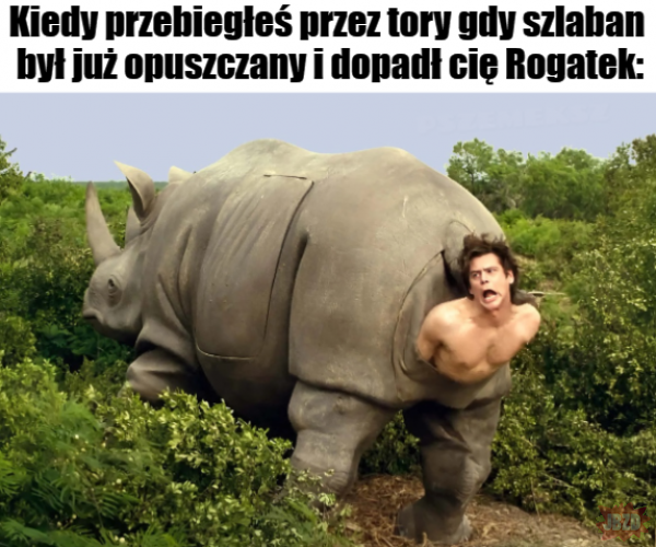 89b7550f-3727-4663-a829-cd75733f614d