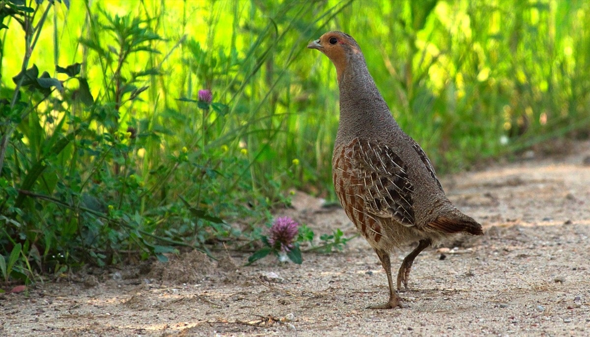 186121fd-e09d-499d-aad0-2cb9378ec187