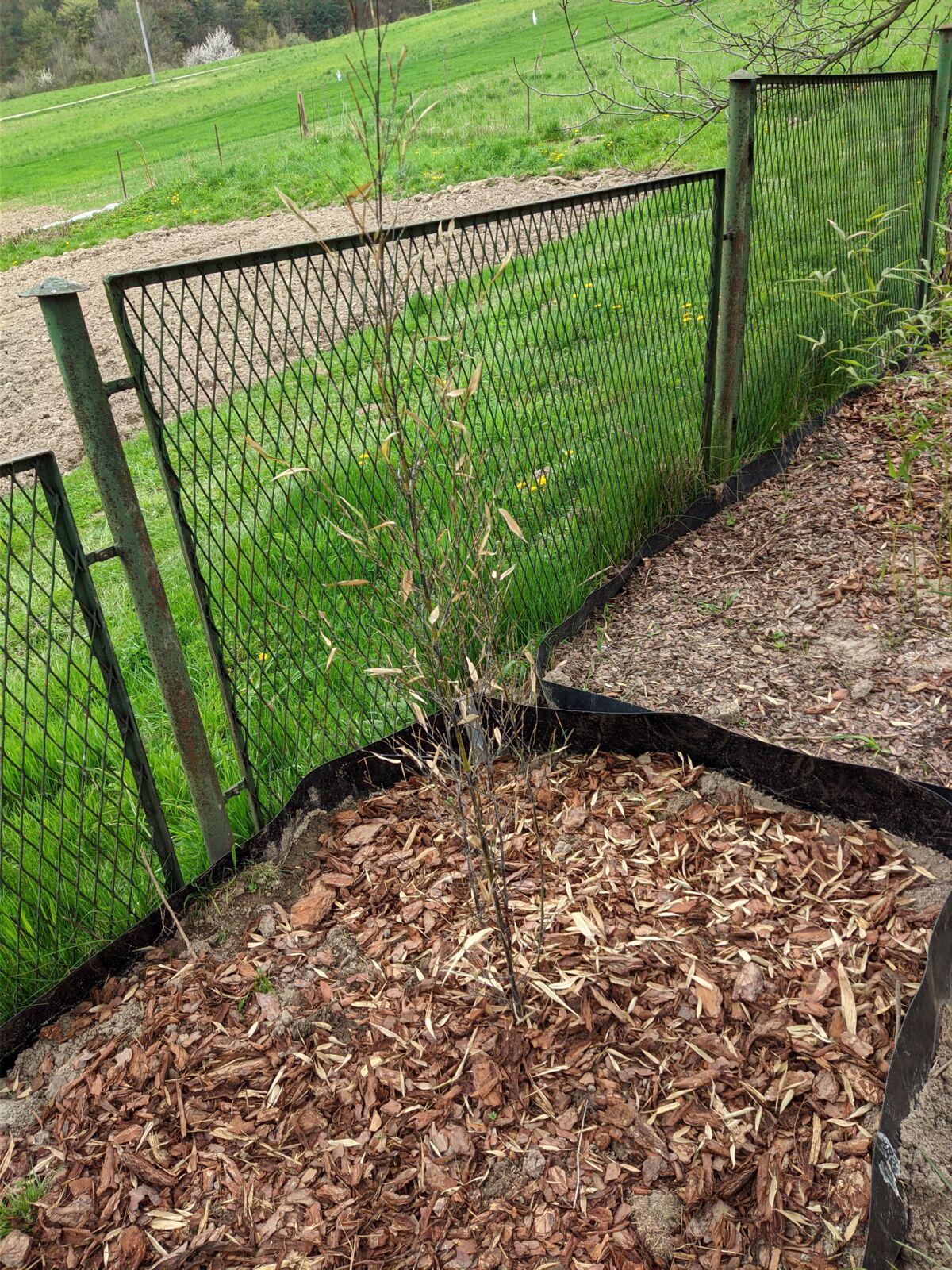 b61c6861-8249-4e11-a1d0-e875ab0a9f52