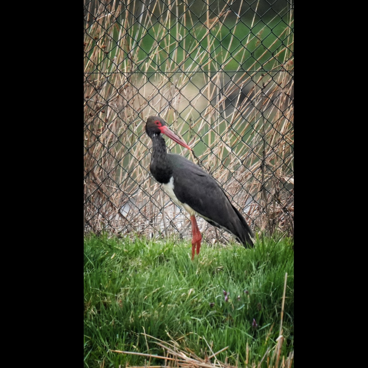 6f10c63a-6c87-4412-ad89-6e17cafbbda8