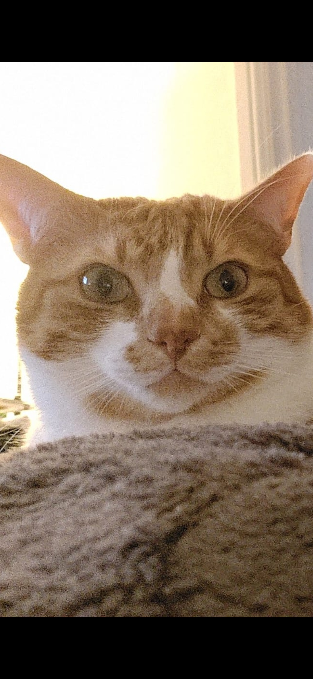 34946c3e-99df-46bd-b1d7-3448bbc527fa