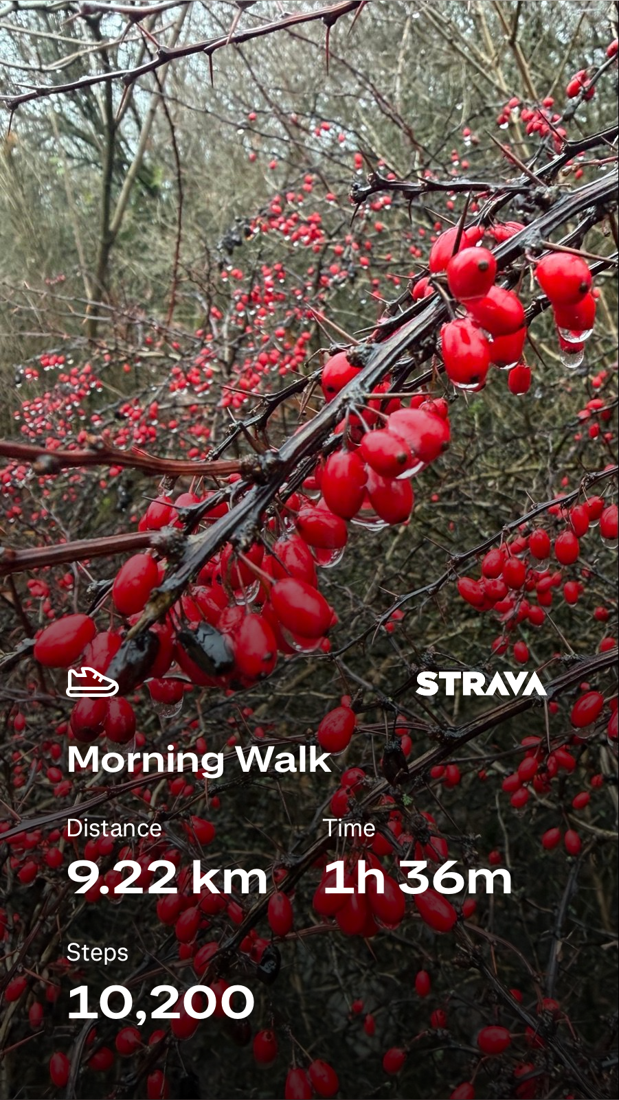 ff973d2c-1f0d-4de5-b9f6-447c3dcdf6a0