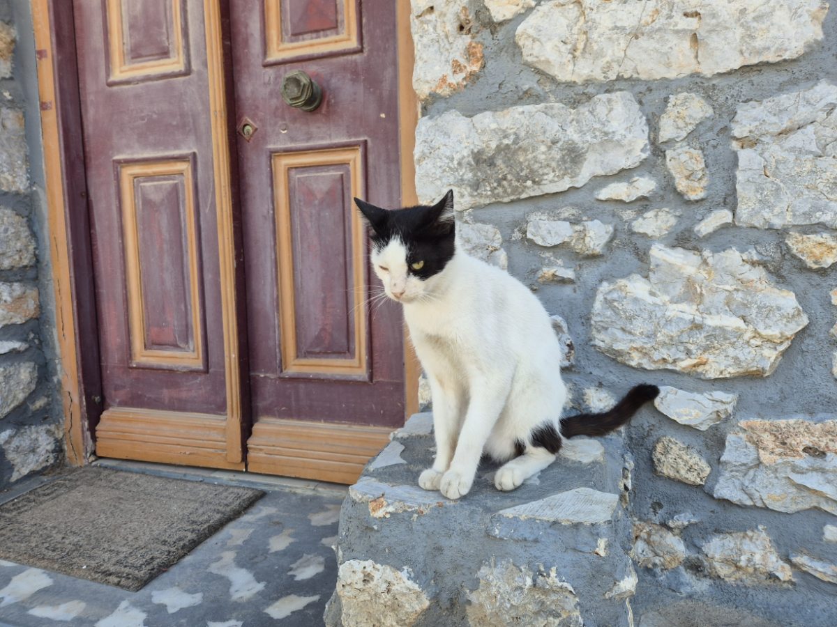 b6f2f1f3-befa-4c3b-8b3b-df8e80cb97ab