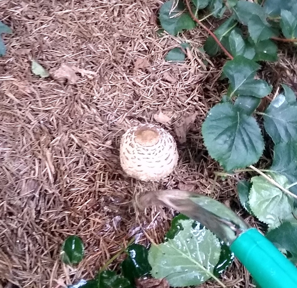 94ee4e0b-630c-4a9c-a812-e2425ecbacb7