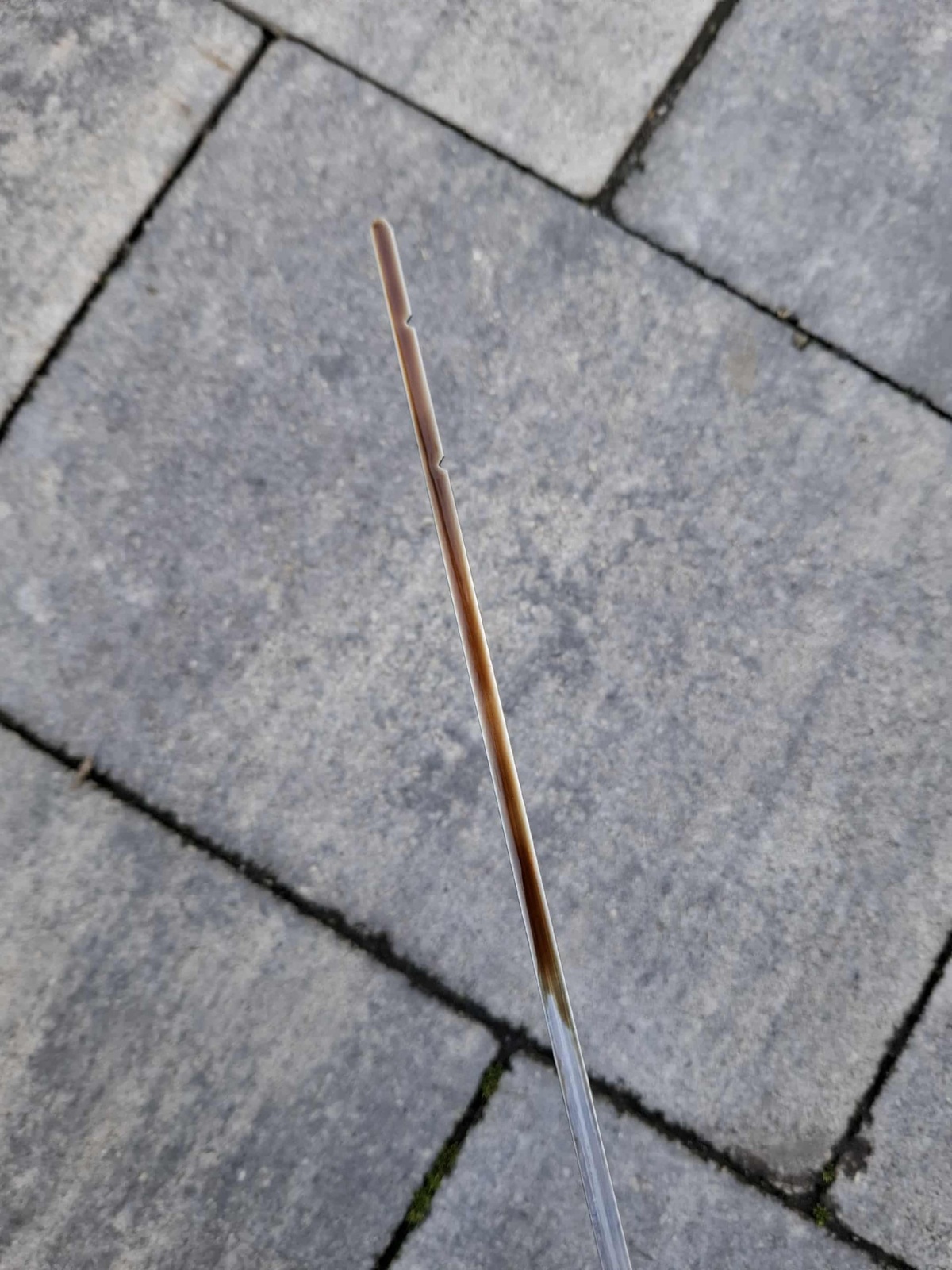 c1543e57-a276-4db4-a48e-c32fc4970183