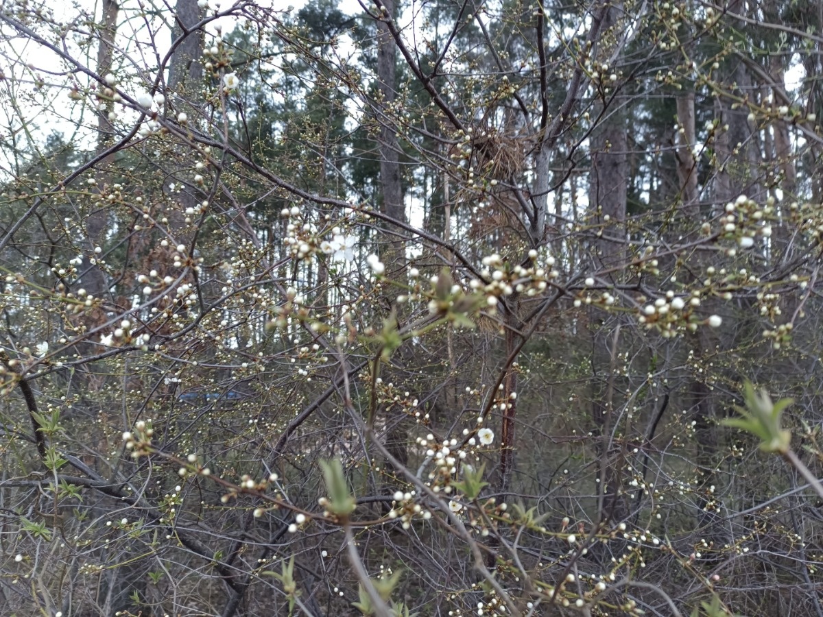 c838584d-b2cf-492d-a04d-509170a58ece