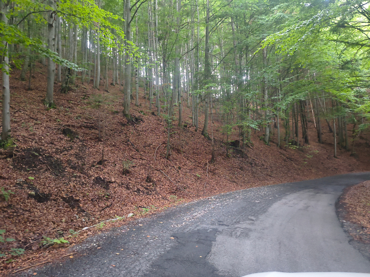 e87244d0-cc0d-40f0-ac6e-ddab83e00938