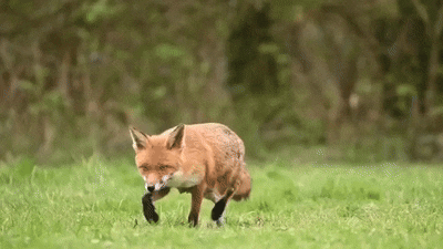 4e378770-9326-4363-8acc-ce0f0fde30aa