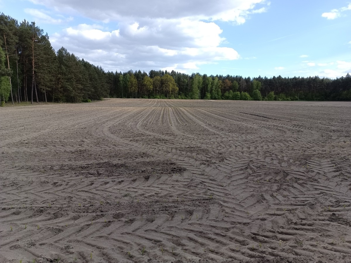 9706f32a-d80a-4dcf-b6e6-d2419f0adfad