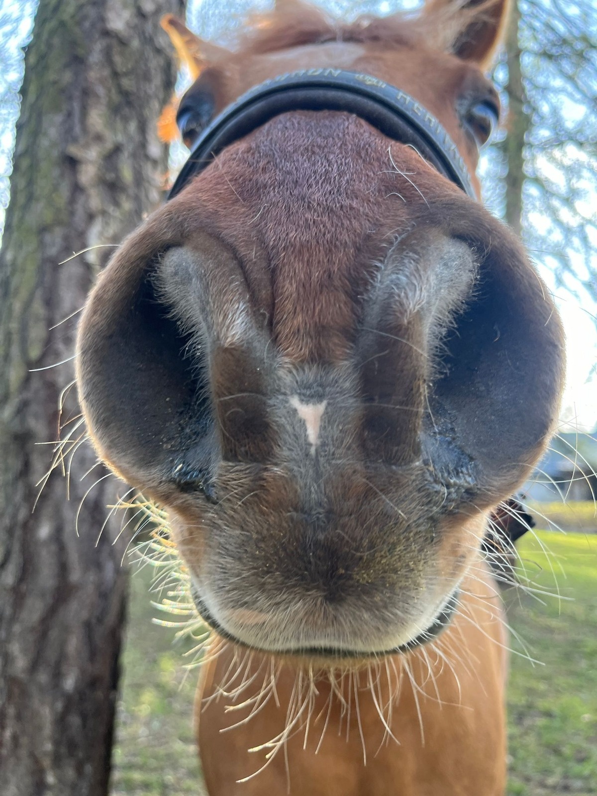 0a50eda8-ed0c-428a-92a2-2277667f3966