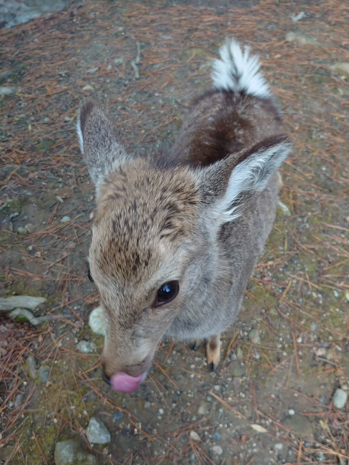 f5ec050d-5e1e-46e2-8f01-53b85c6808d6