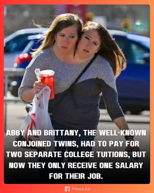 cbfd8da2-c500-4046-8f07-5dabed06e524