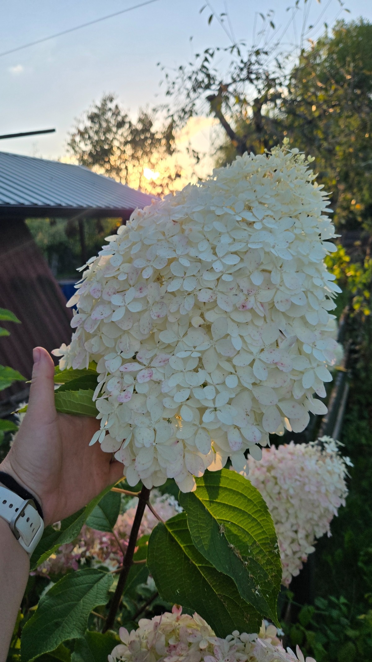 34b1c253-1d19-4bc7-ab11-eefceb37a826