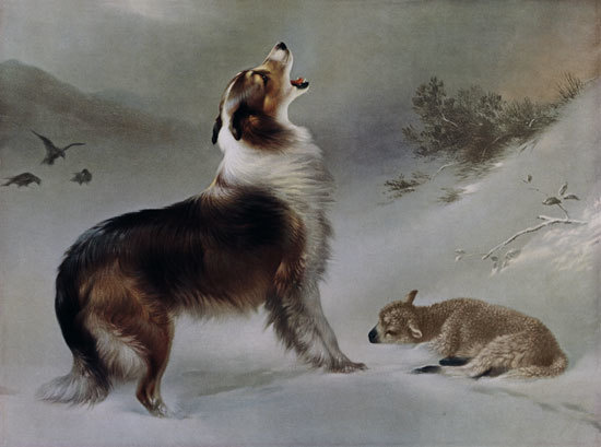 4cd0b791-0e40-4066-a8da-2e21291f37ec