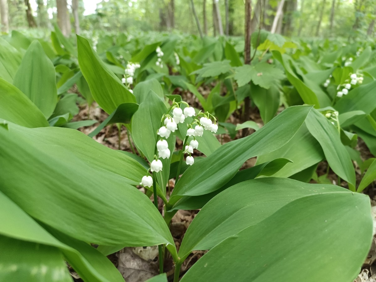 63c7f4f6-3c8f-463d-aeae-cee4bc643df8