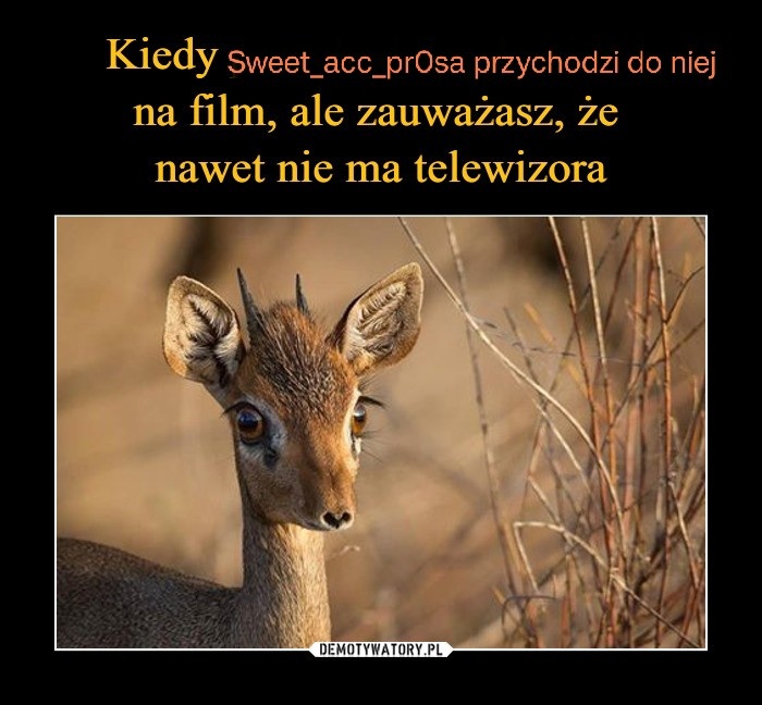 ba0ef01f-bd86-4b3b-8ae6-f85d7a0a5df2