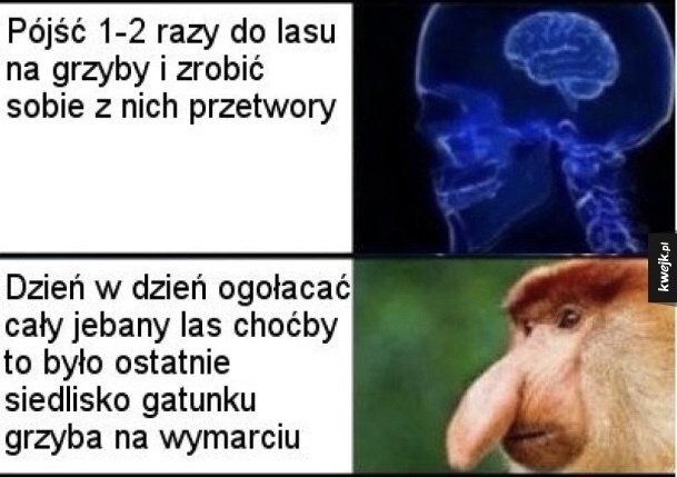 b79d3140-370a-426e-ba6b-25ea694505d1