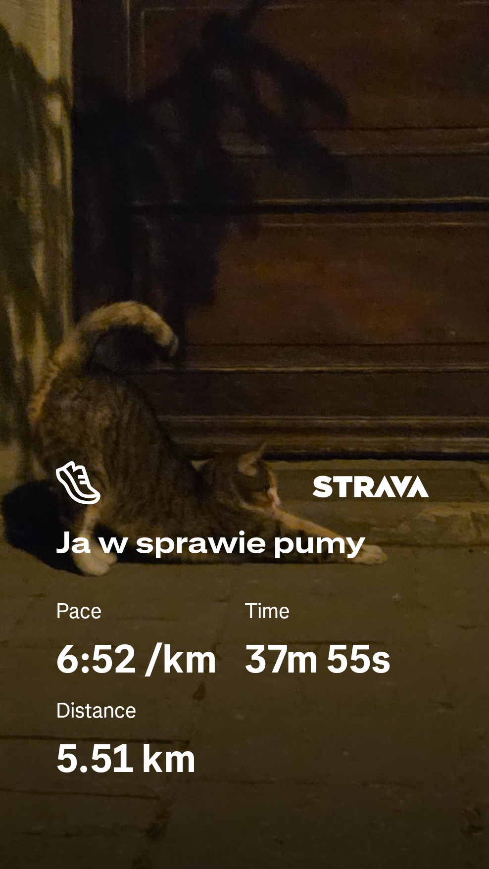 550dcd27-23ce-448f-91da-715539859984