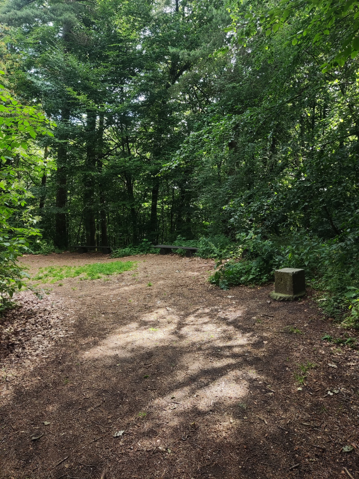 0fce7996-9424-4f23-8c10-3db717fec001