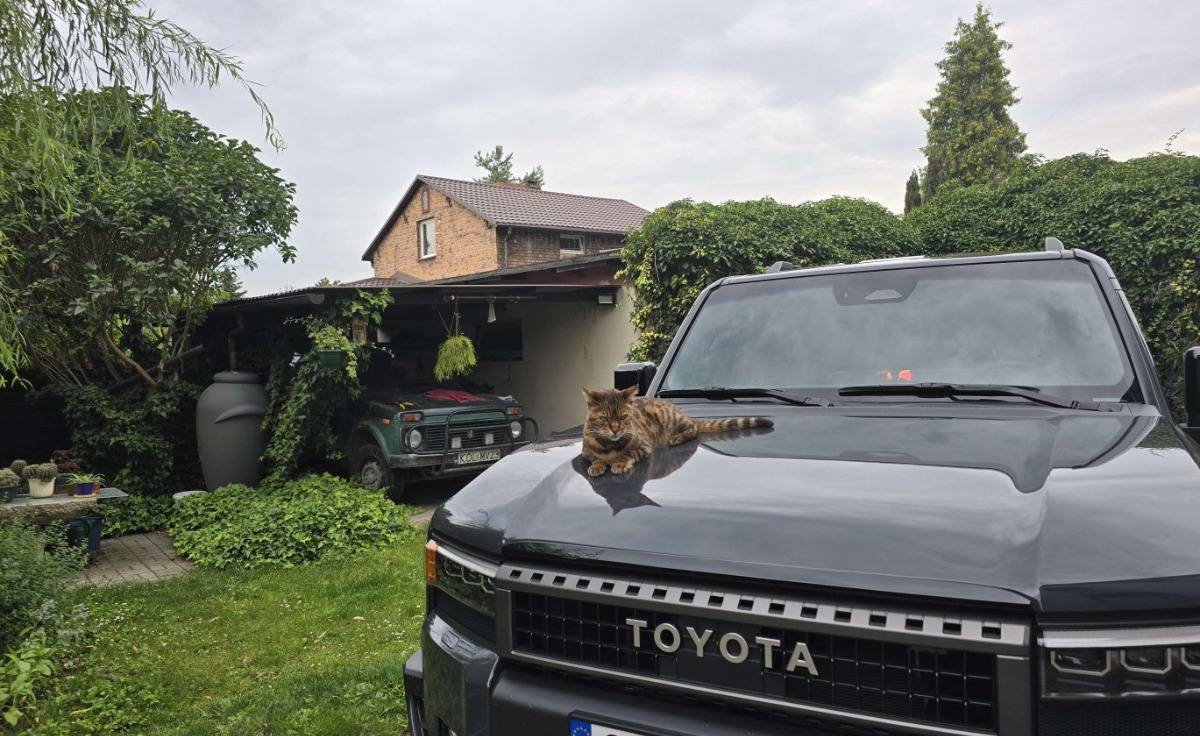 cfee0b3f-aafb-46d7-93fe-ce9515cf408d