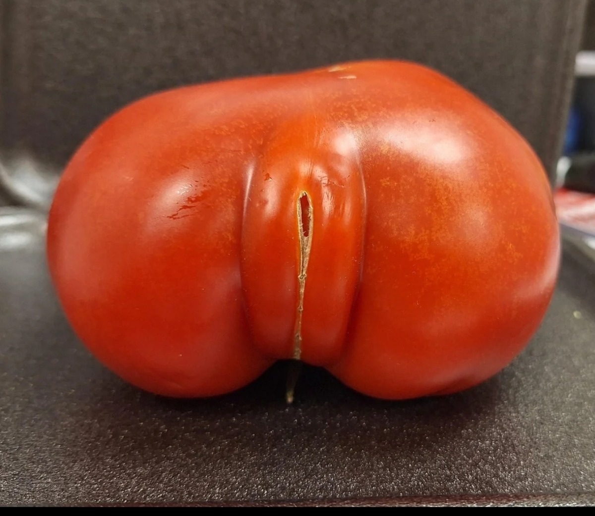 d987e707-a4e2-4ef1-8b9e-d26e1f6345b4