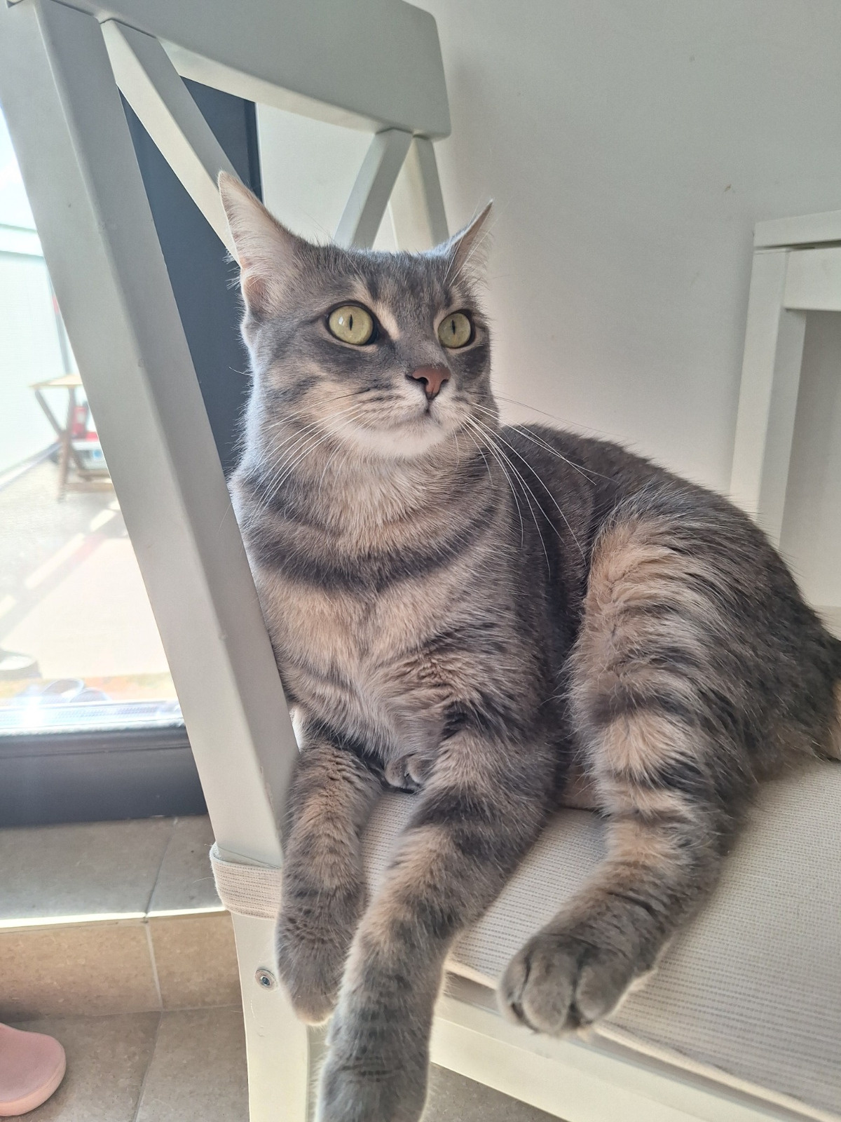 0ee8c94b-e4b8-4a2f-b8a5-e6cdb478b44f