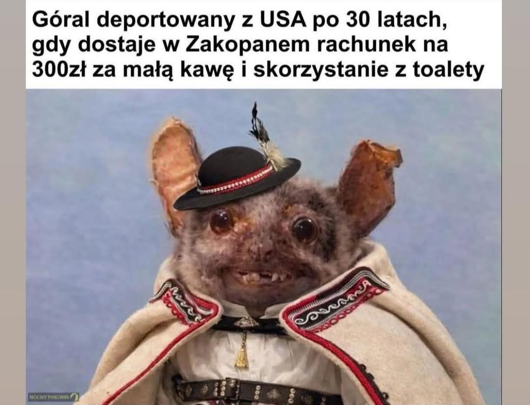 65a3d430-5863-499a-af29-c7480a58ba25