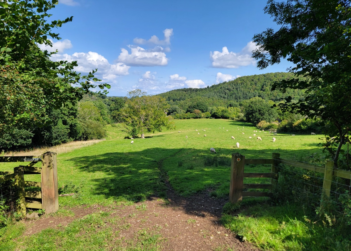 dc804596-ea6e-46dd-ae67-04f65ef146e6