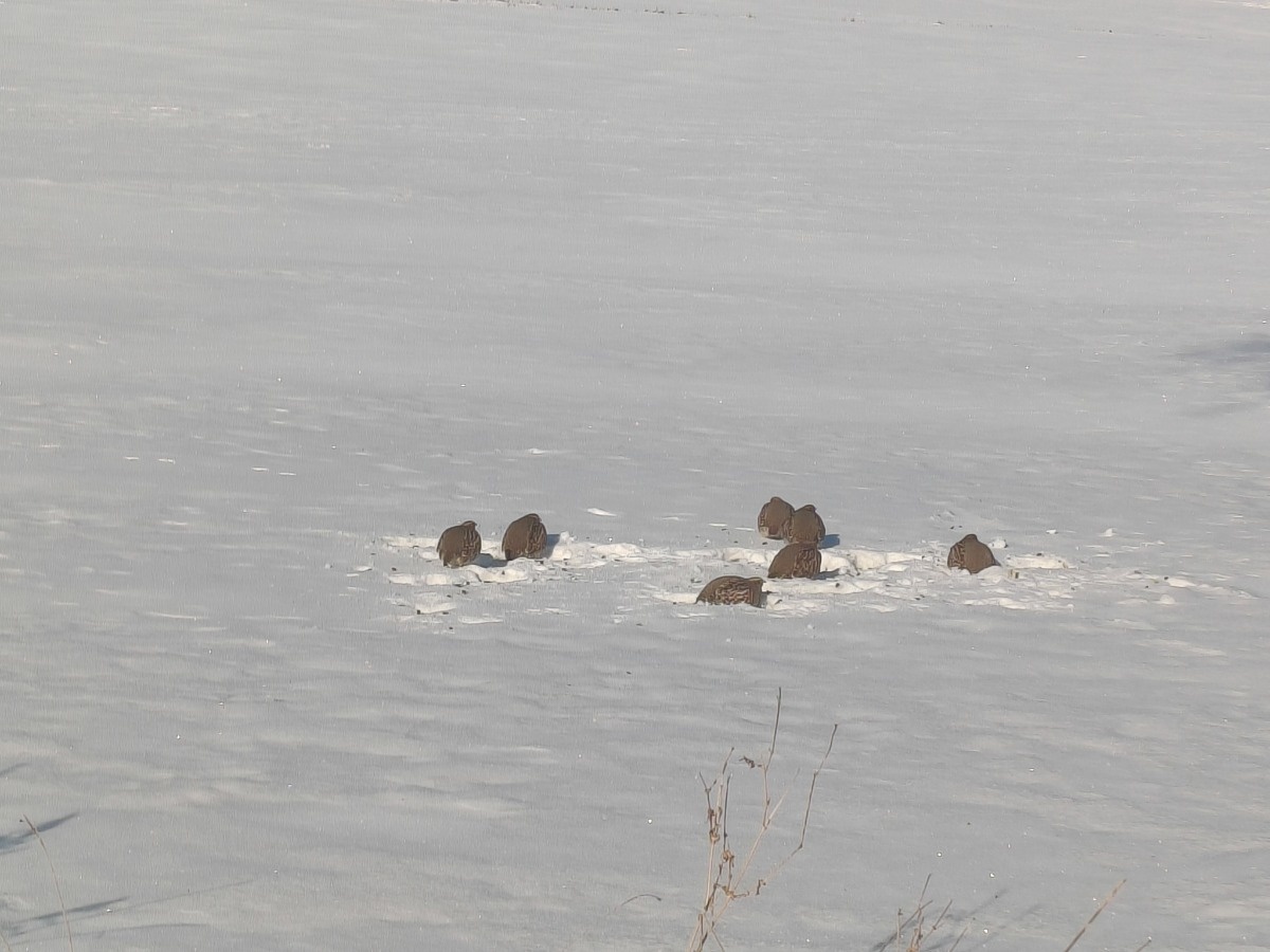 8fac3f7b-90eb-4ff0-892a-28949c57a7ae