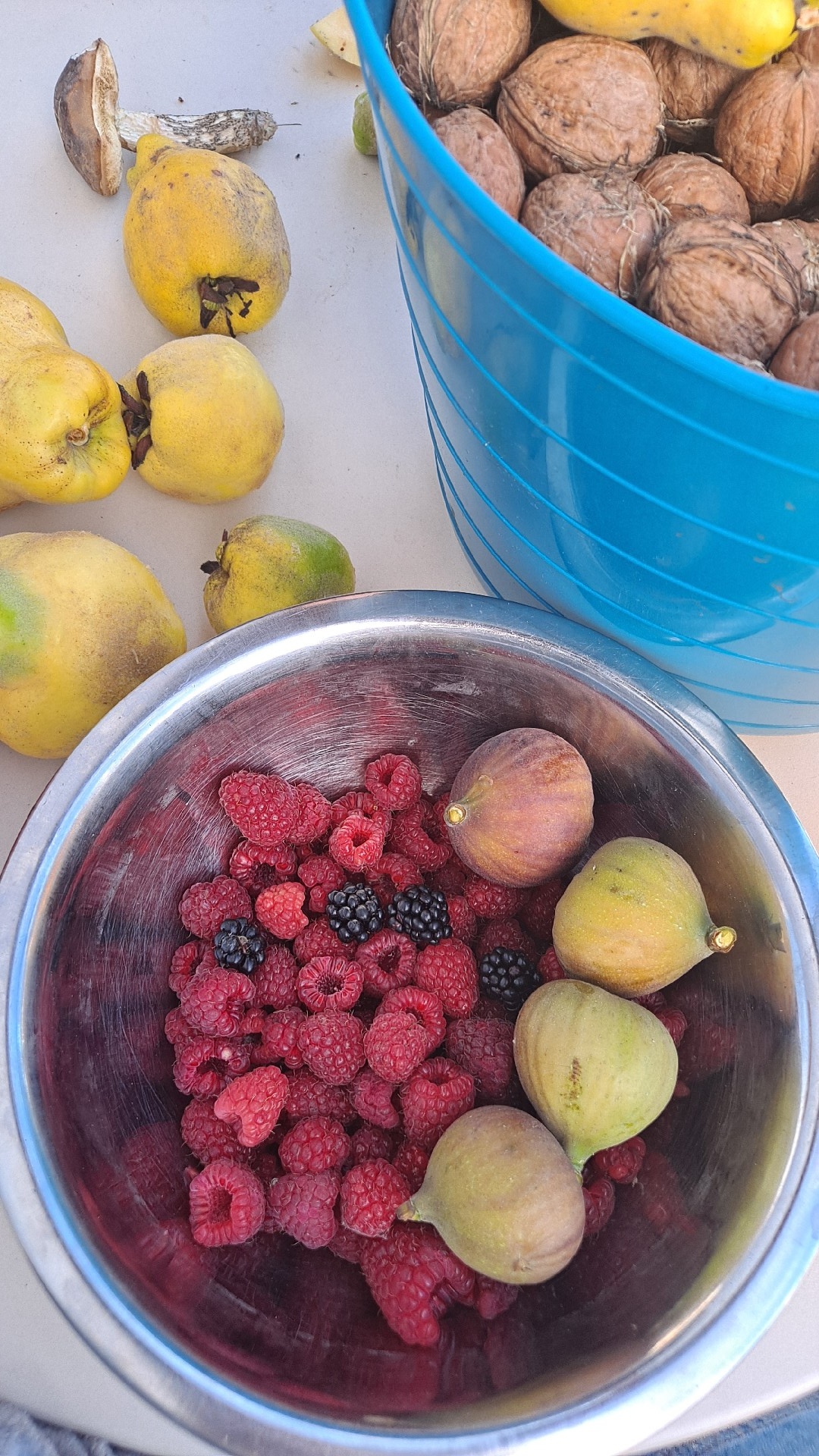 984a200d-1695-426c-9253-a7efe3e1ac48