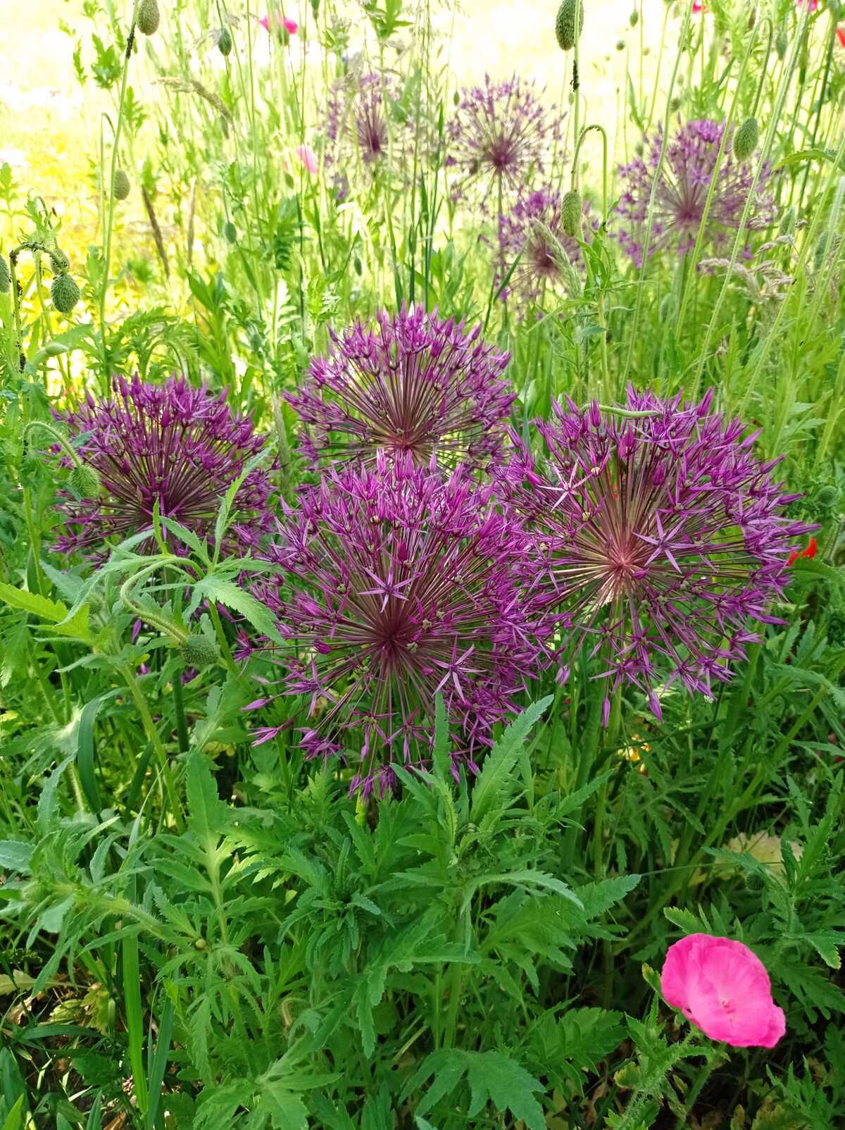 831b1491-eb68-4ba4-bce2-2570c5be7938