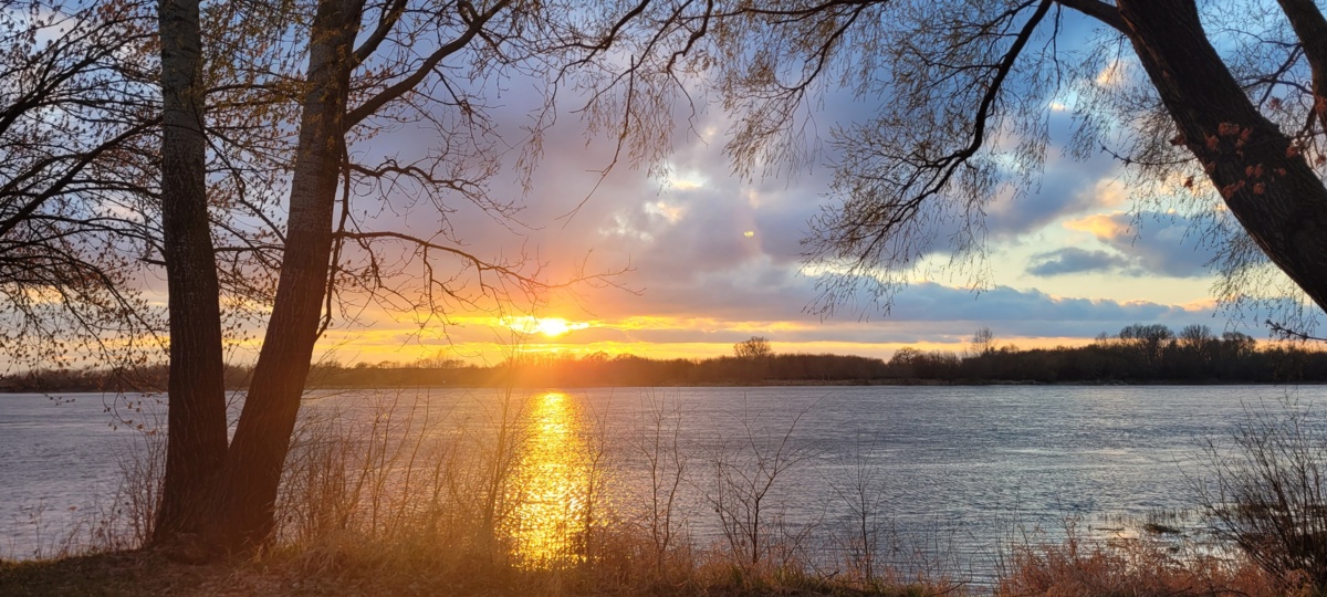 af67b72a-f60c-4527-9cc9-e2b272e6adec