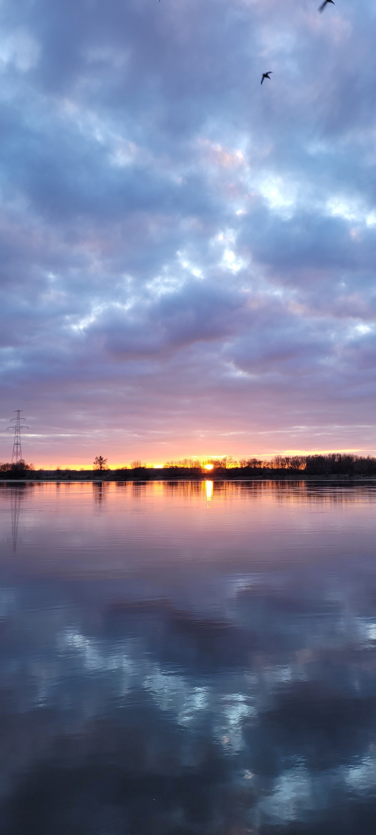 3c134b4c-5039-43ed-ae76-d16ea62db771