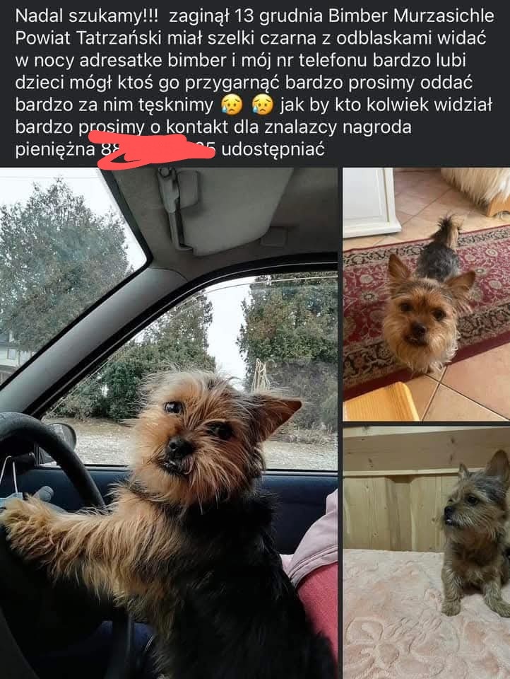 3cf47189-8574-4f9e-967b-dc40221b3598