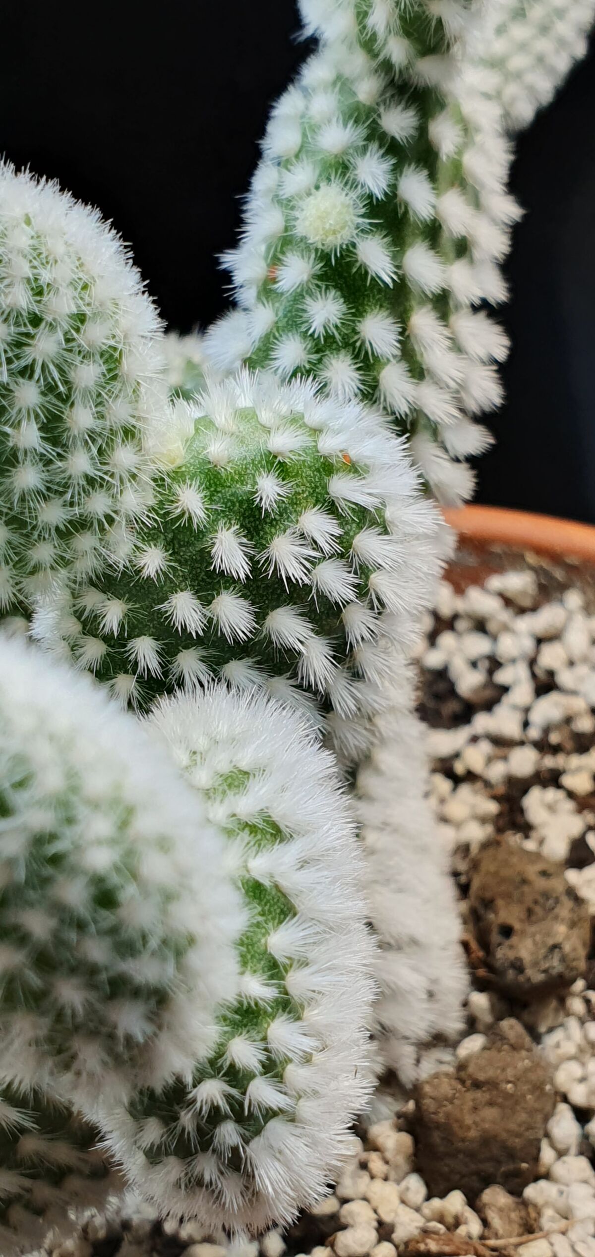 6b4ce0db-01a4-415f-9162-34b3bff81693