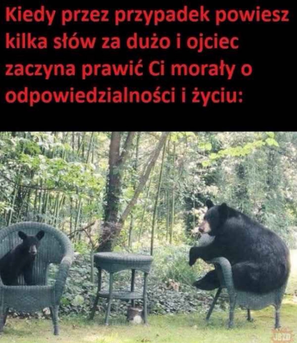 d629fff0-5510-4535-9b21-c5a06df54f43